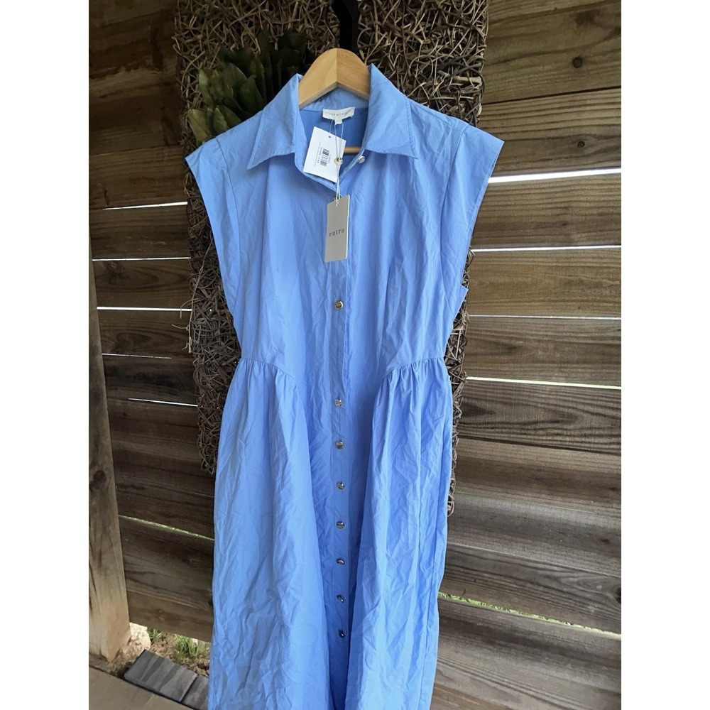 $68 New ENTRO BLUE BLOSSOM DROP WAIST MIDI DRESS Large BUTTON MISSING - Picture 2 of 7
